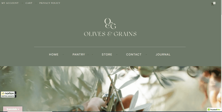 Olive and Grains Web development